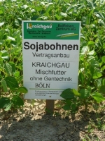 Sojabohnen