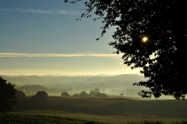 Der Sommerhof